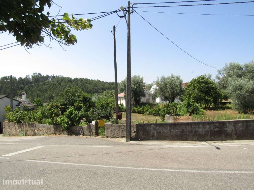 Lote da Tapada, Sardoal - Grande imagem: 2/12
