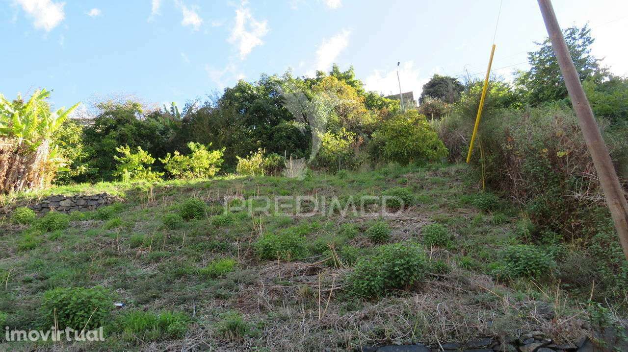 TERRENO C/1500M2 NO  FUNCHAL - Grande imagem: 2/5