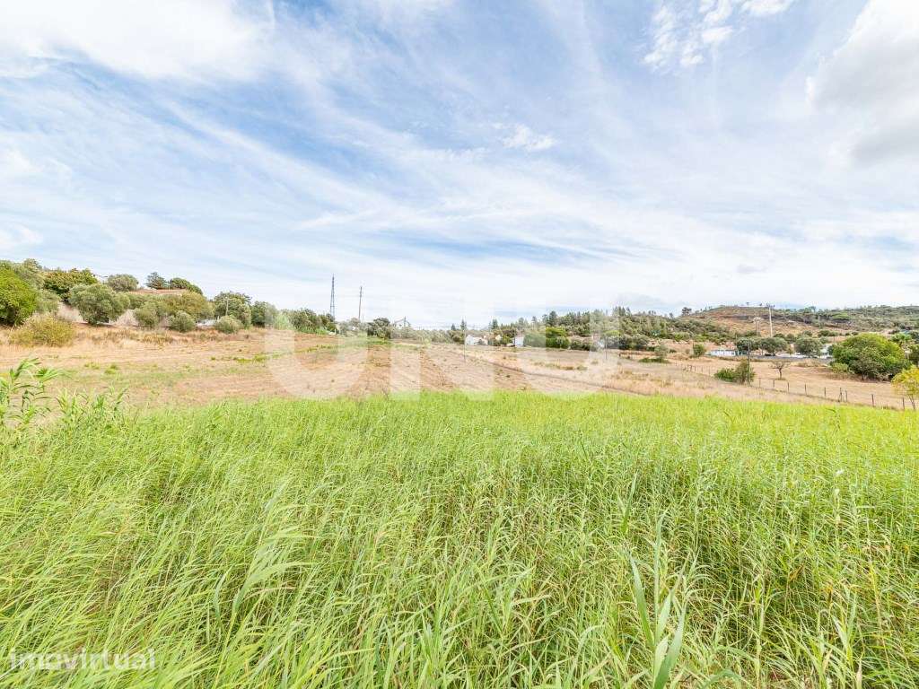 Terreno rústico para venda, com 20.000 m2, na Castanheira do Ribatejo! - Grande imagem: 5/9
