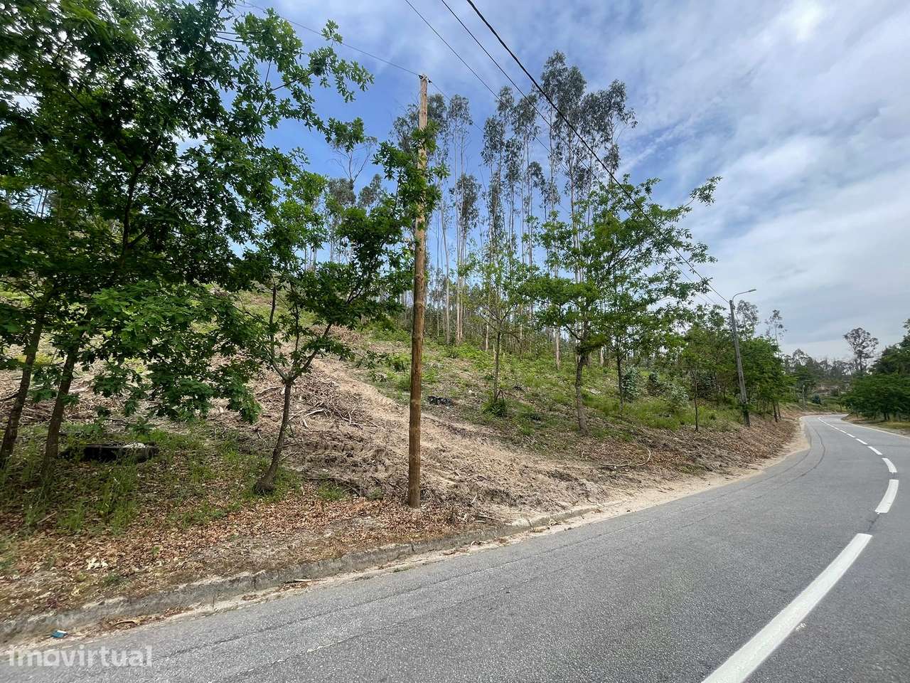 Terreno com 2,64 hectares em Cepães - Grande imagem: 5/5