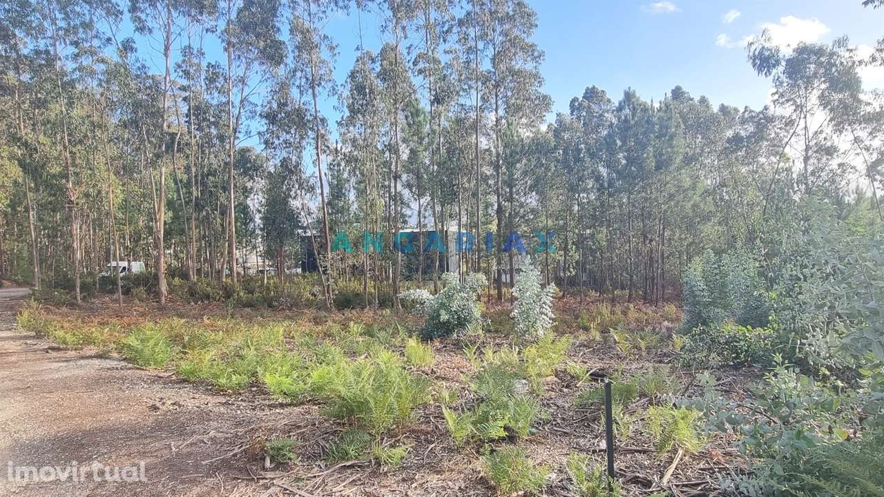 ANG1235 - Terreno para Venda em Leiria - Grande imagem: 4/8