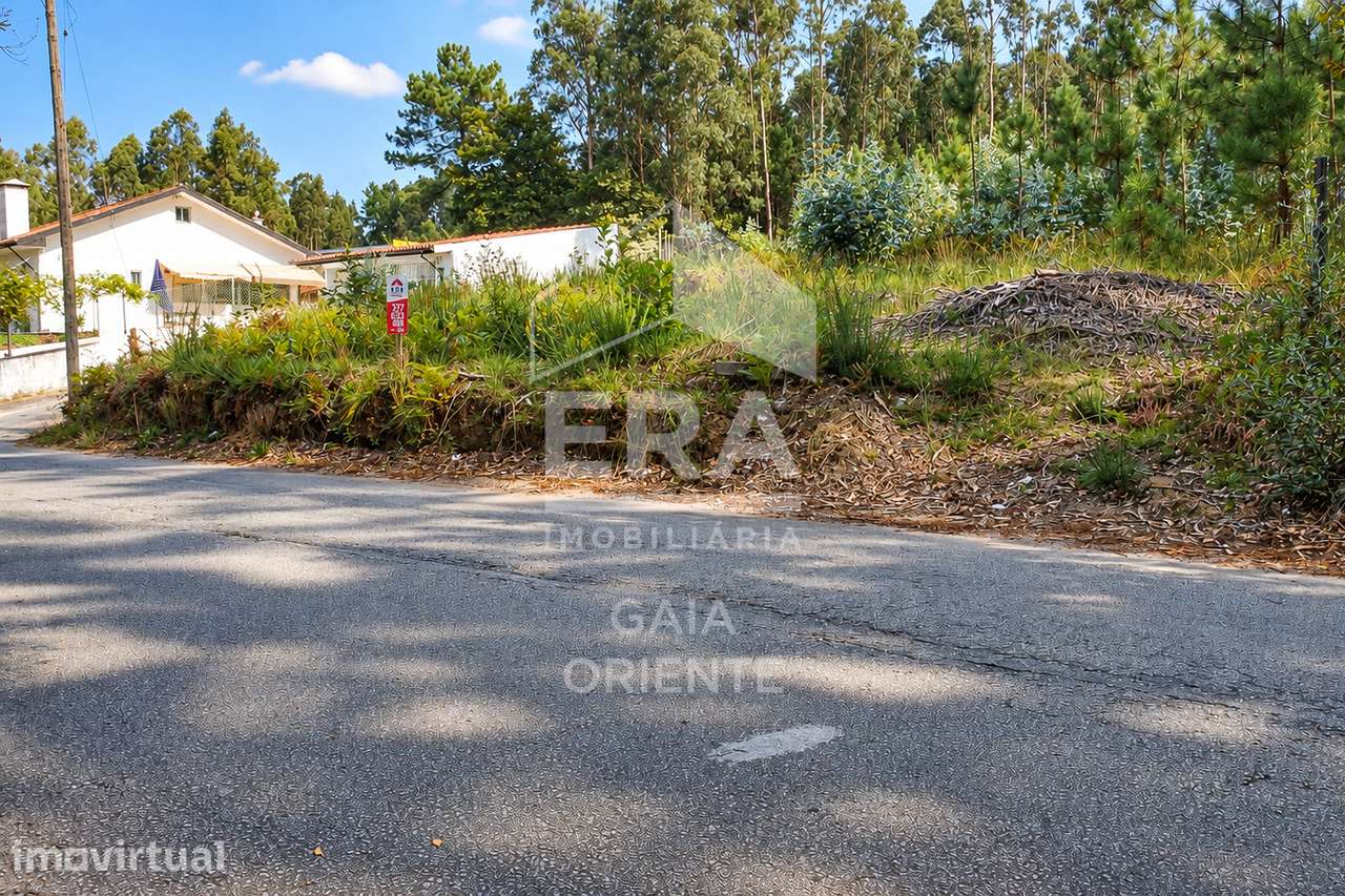 Terreno com Potencial Construtivo - Grande imagem: 4/5