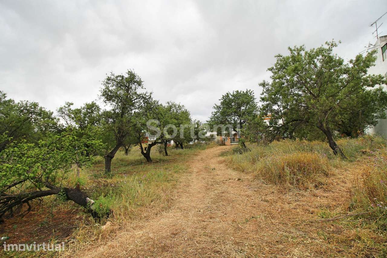 Terreno Para Construção  Venda em Conceição e Estoi,Faro - Grande imagem: 3/4