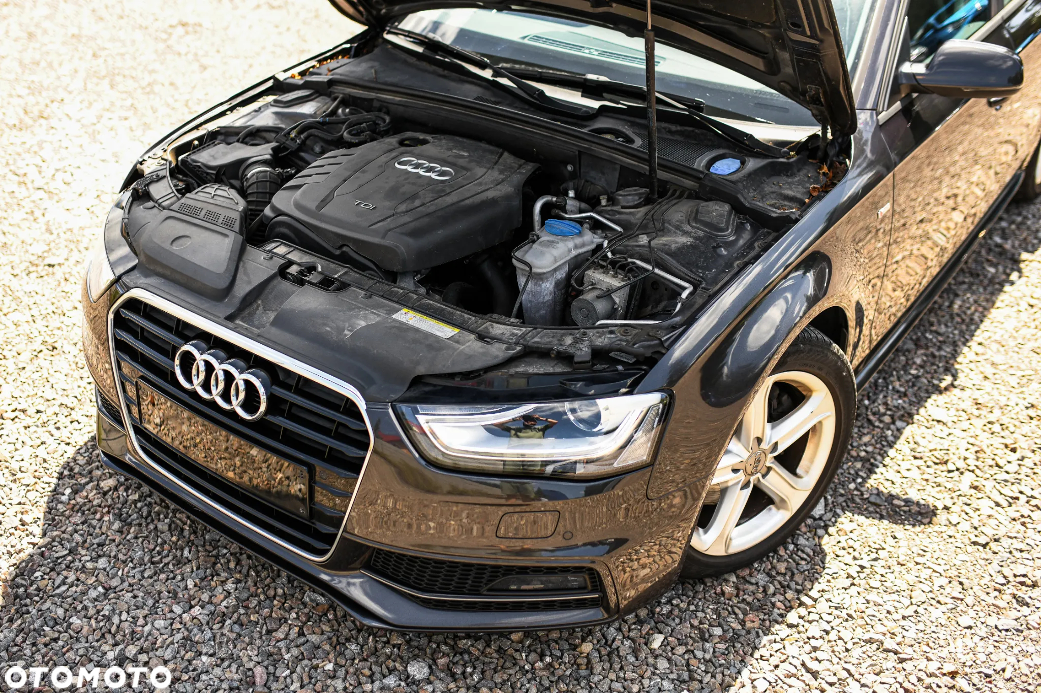 Audi A4 - 32