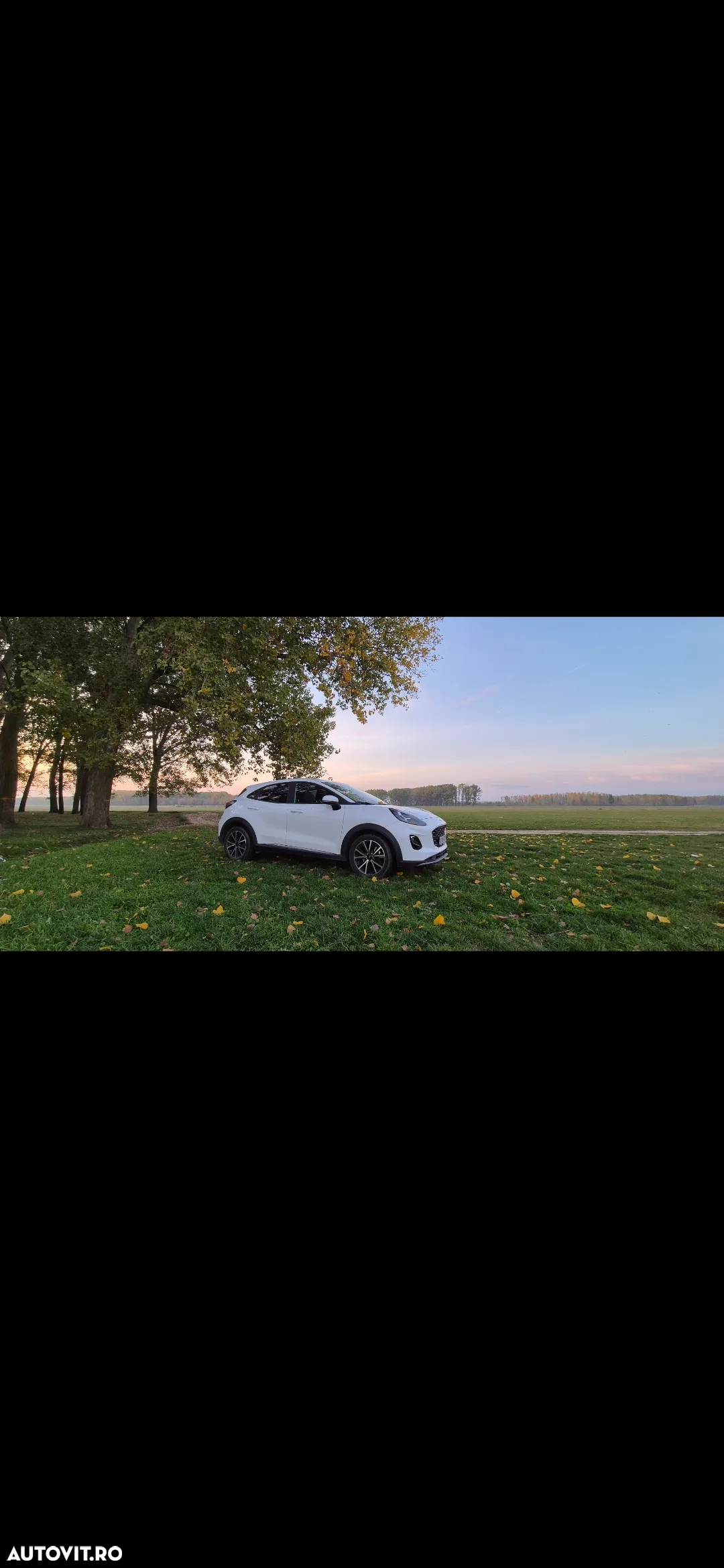 Ford Puma - 2
