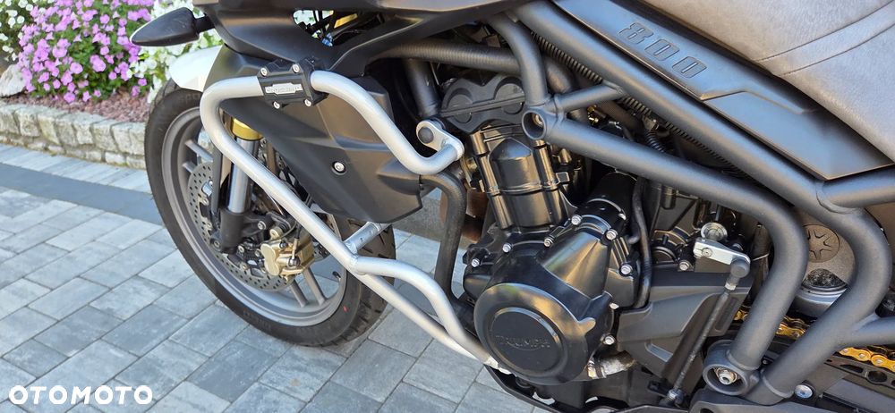 Triumph Tiger - 19