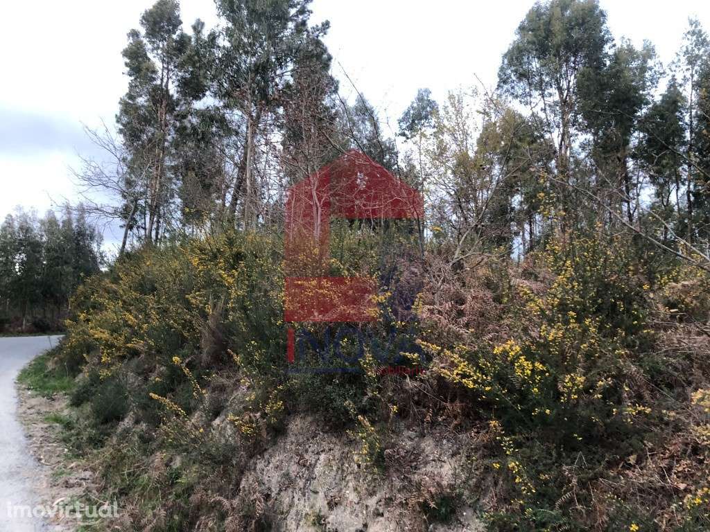 Terreno Industrial, Vilarinho - Grande imagem: 3/7