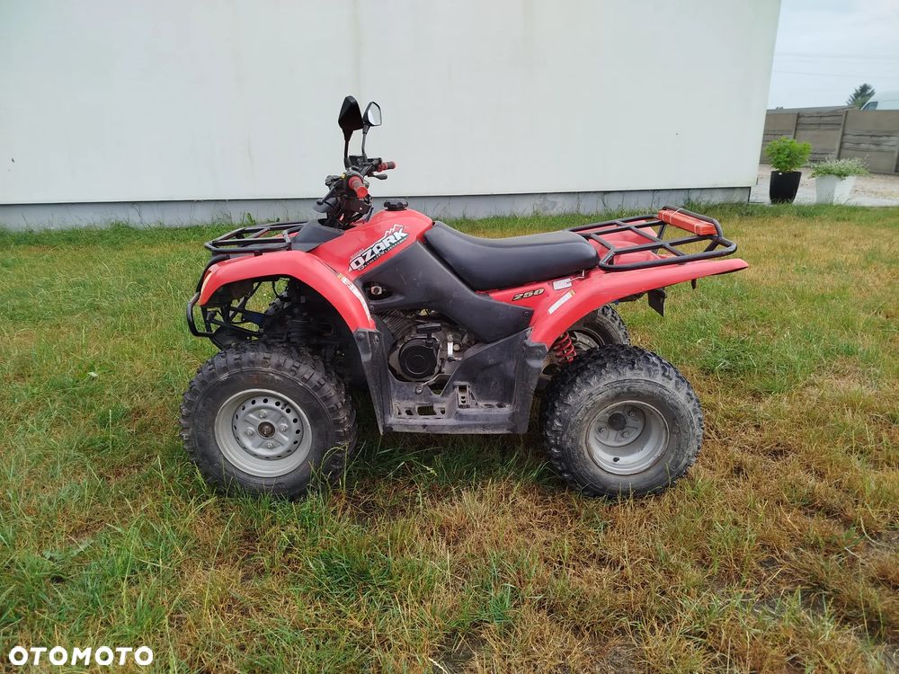 Suzuki Inny - 4
