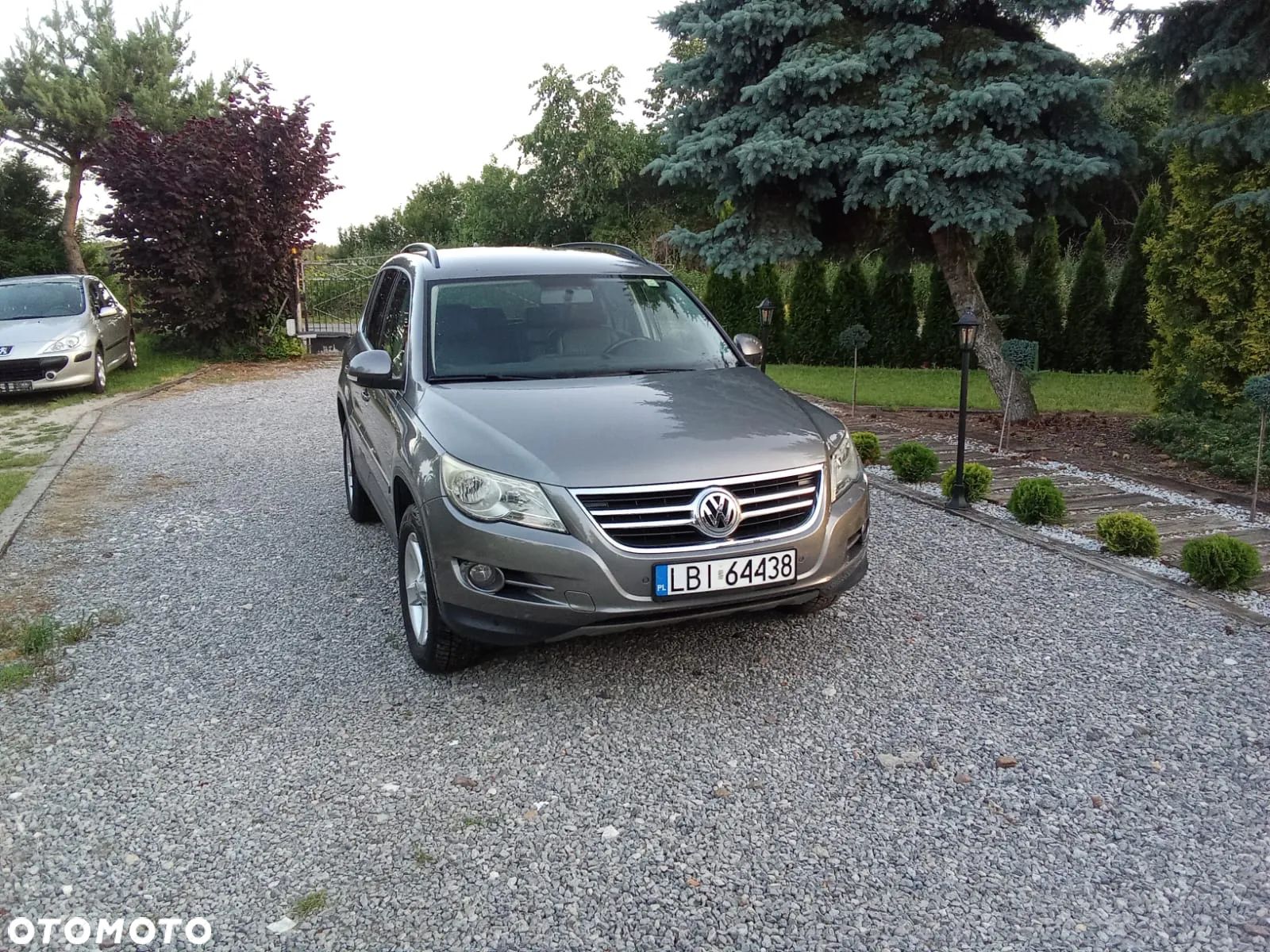 Volkswagen Tiguan - 1