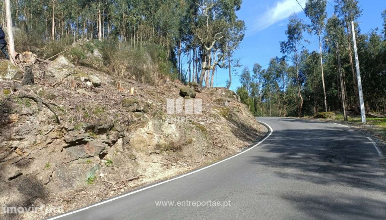 Venda Terreno  Vila Cova Penafiel - Grande imagem: 2/10