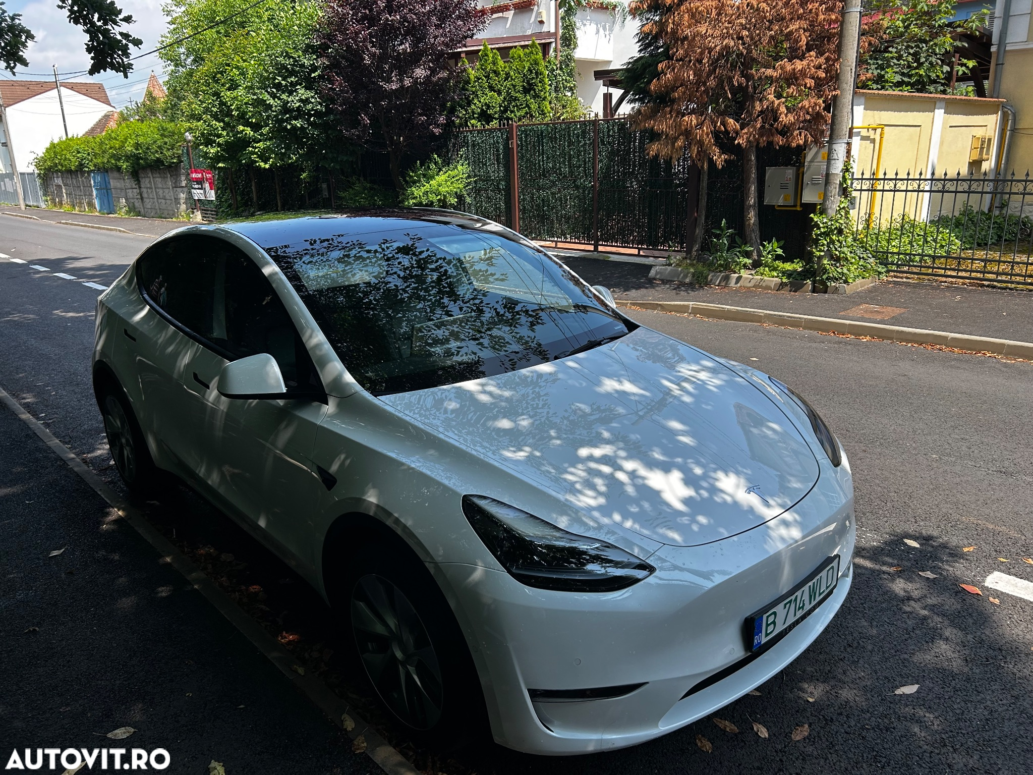 Tesla Model Y Long Range Dual Motor AWD - 18