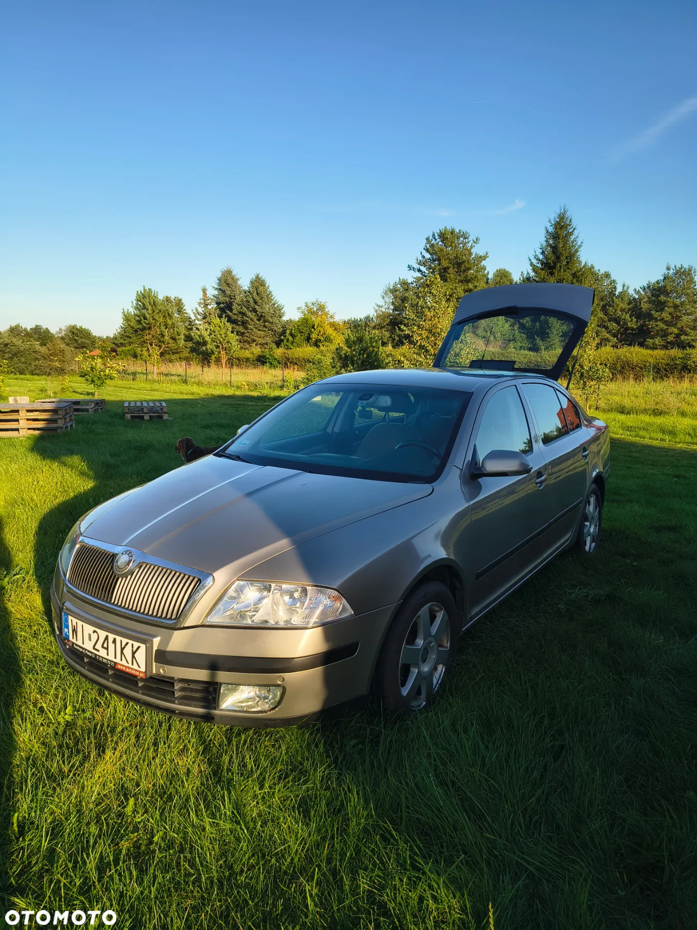 Skoda Octavia - 4