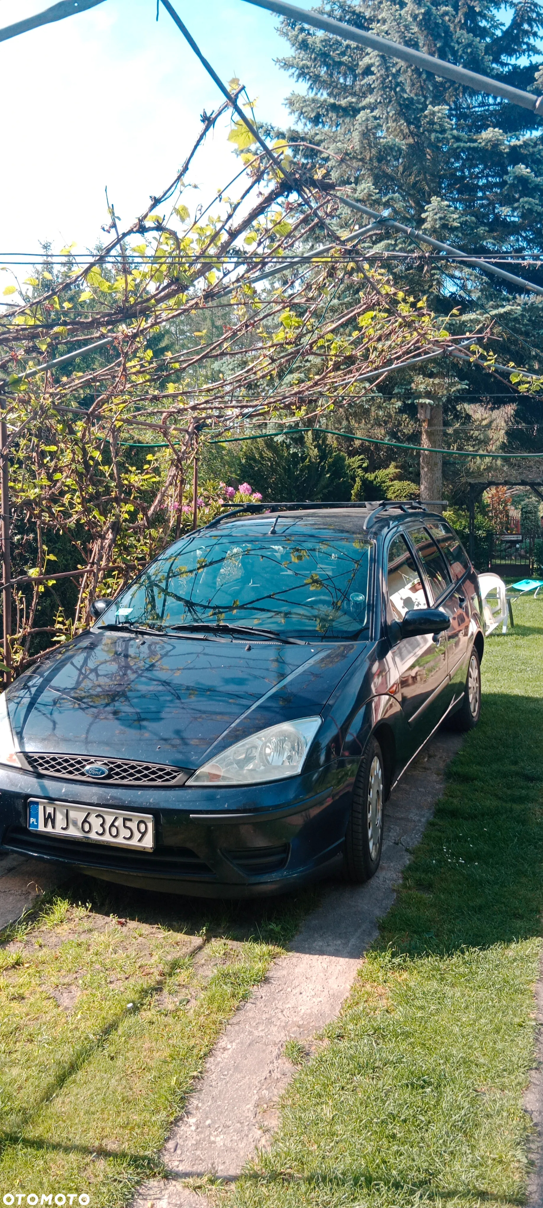 Ford Focus - 13