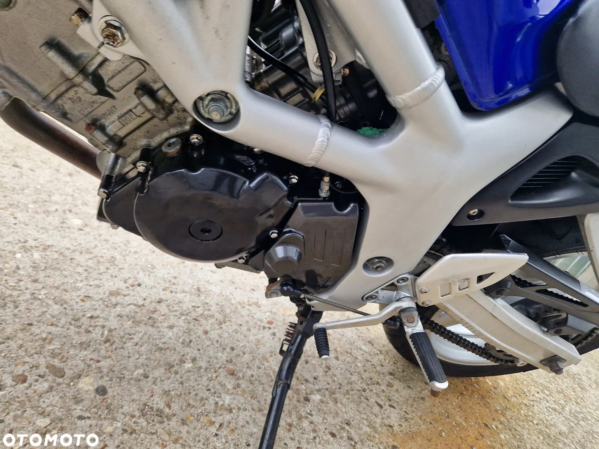 Suzuki SV - 31