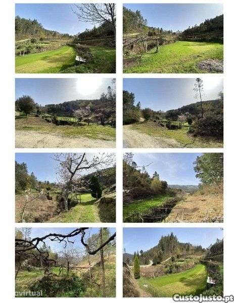 Quinta com casa de apoio à agricultura e área florestal - Grande imagem: 3/3