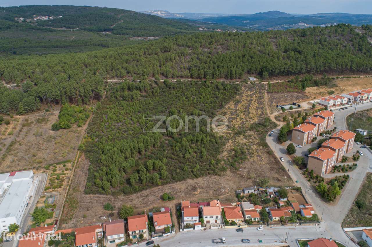 Terreno Para Construção em Sabrosa - Grande imagem: 2/30