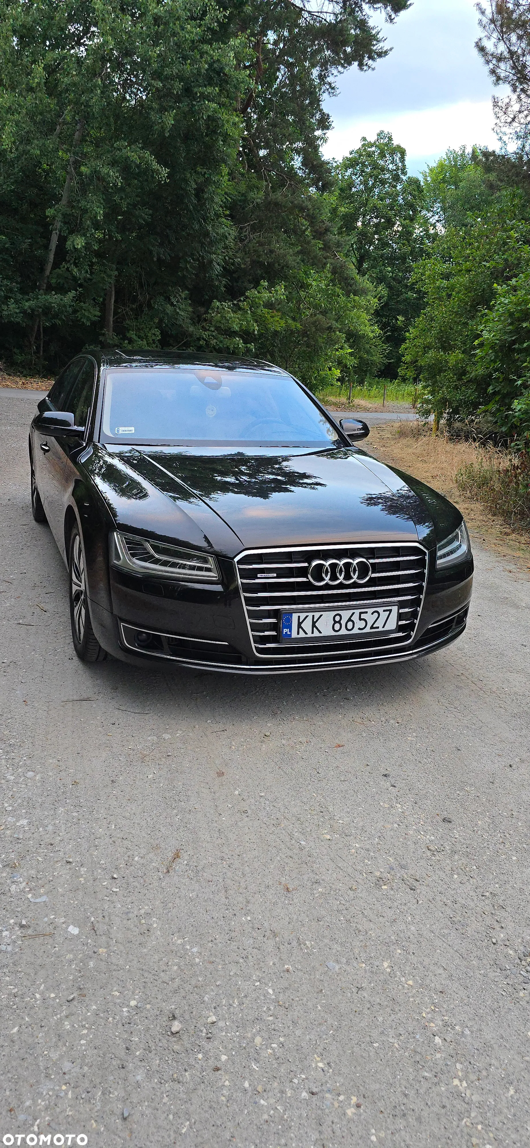 Audi A8 4.2 TDI clean diesel L Quattro - 12
