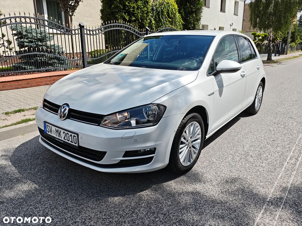 Volkswagen Golf 1.6 TDI BlueMotion Technology Cup - 11