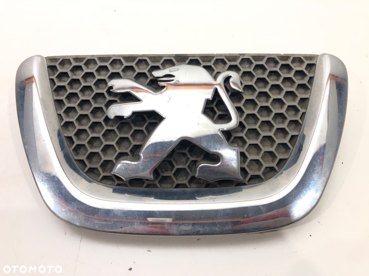 ATRAPA GRILL - 86.00 PLN - PEUGEOT 307 SW (3H) 2002 - 2009 2.0 16V 103 kW [140 KM] benzyna 2005 - - 1