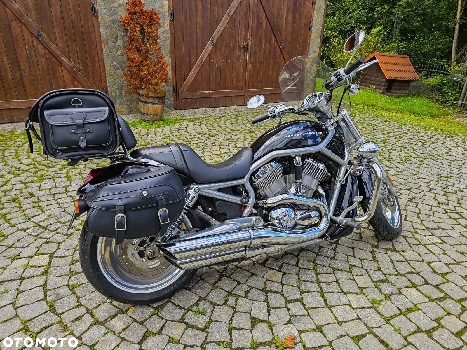 Harley-Davidson V-Rod Street Rod - 3