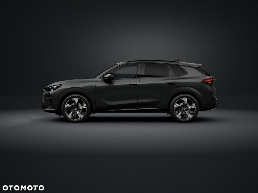 Cupra Terramar - 2