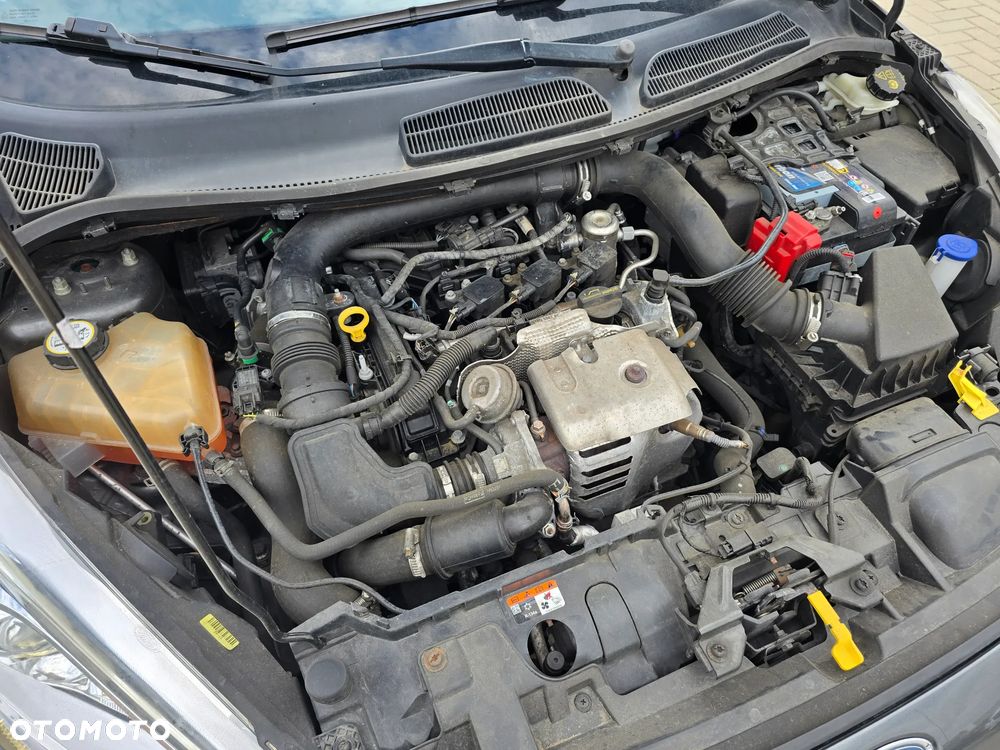 Ford Fiesta - 16