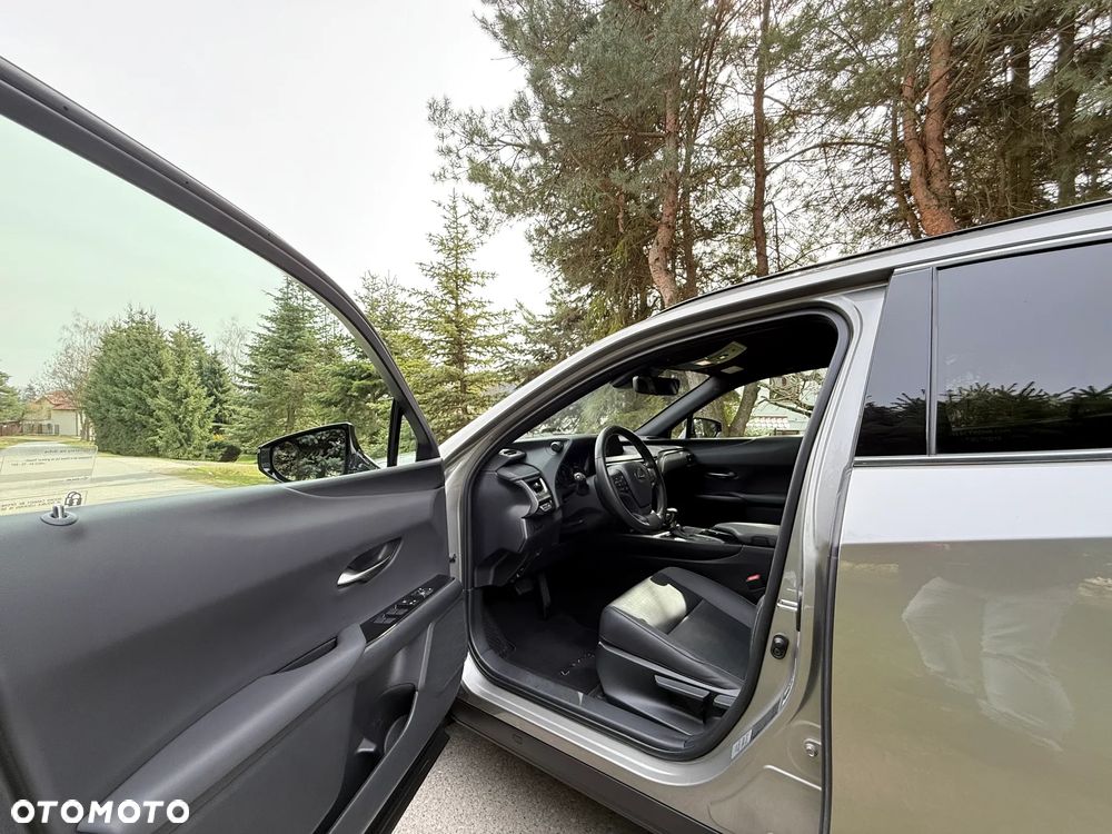 Lexus UX 250h GPF F Sport Design 2WD - 12