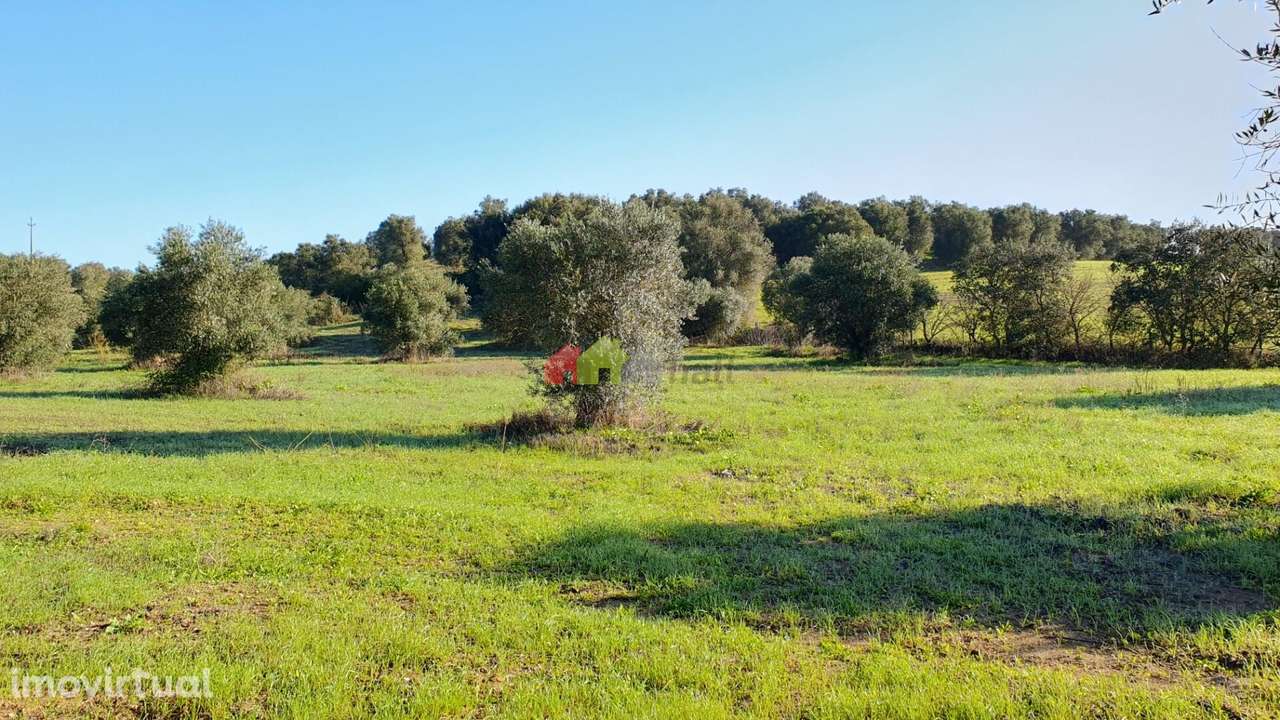 Lavre - Grande imagem: 3/16