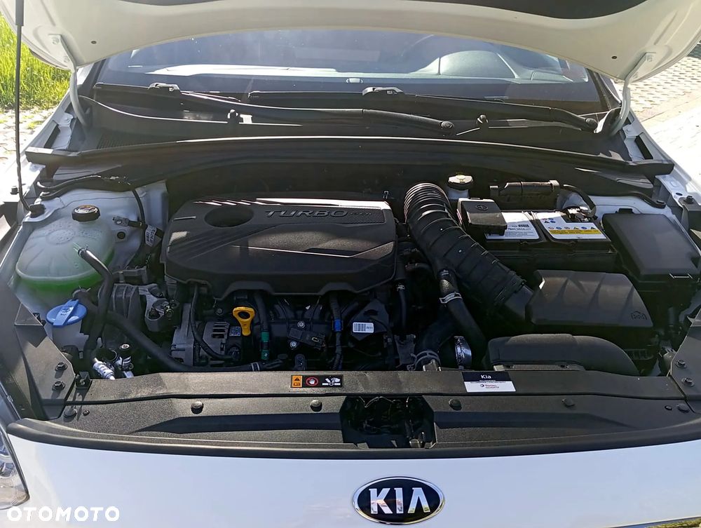 Kia ProCeed 1.6 T-GDI DCT7 OPF GT - 14