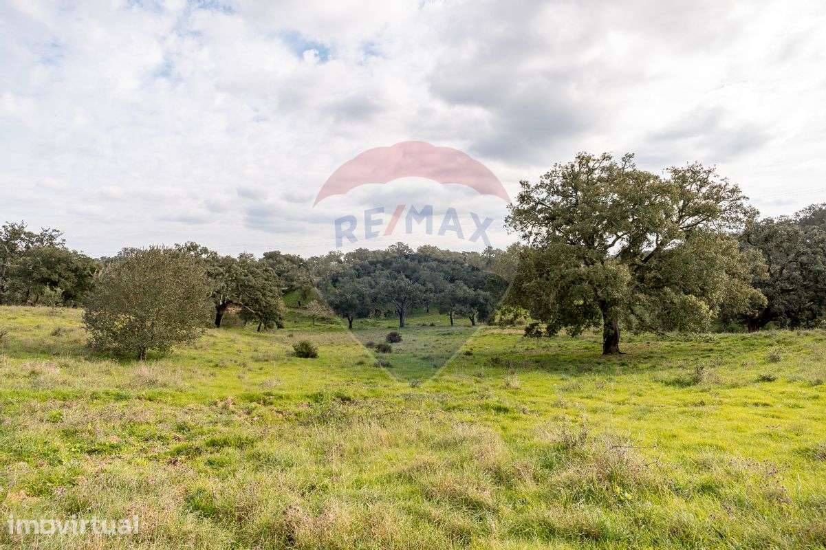 Terreno  para venda - Grande imagem: 3/23