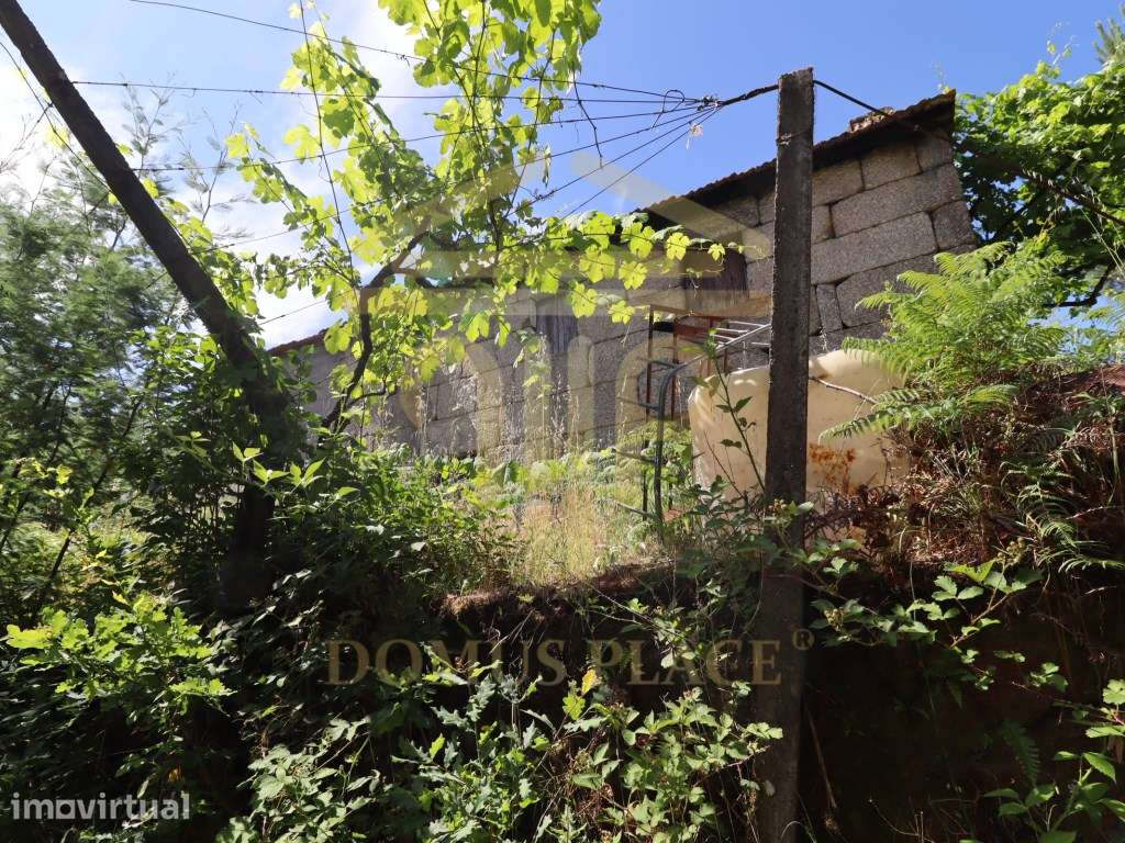 Terreno com 17.800 m², Casa para Reconstruir e mina de Água - Soalh... - Grande imagem: 5/29
