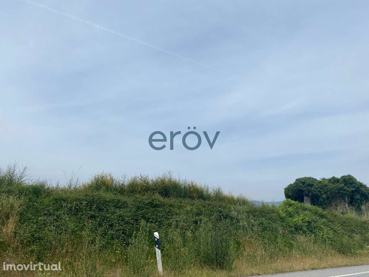 Propriedade com 15Ha em Silvares - Guimarães - Grande imagem: 4/10