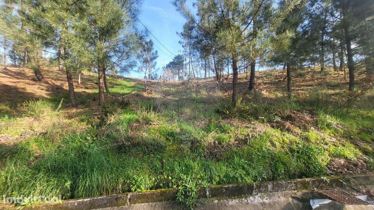 Terreno  para venda - Grande imagem: 4/6