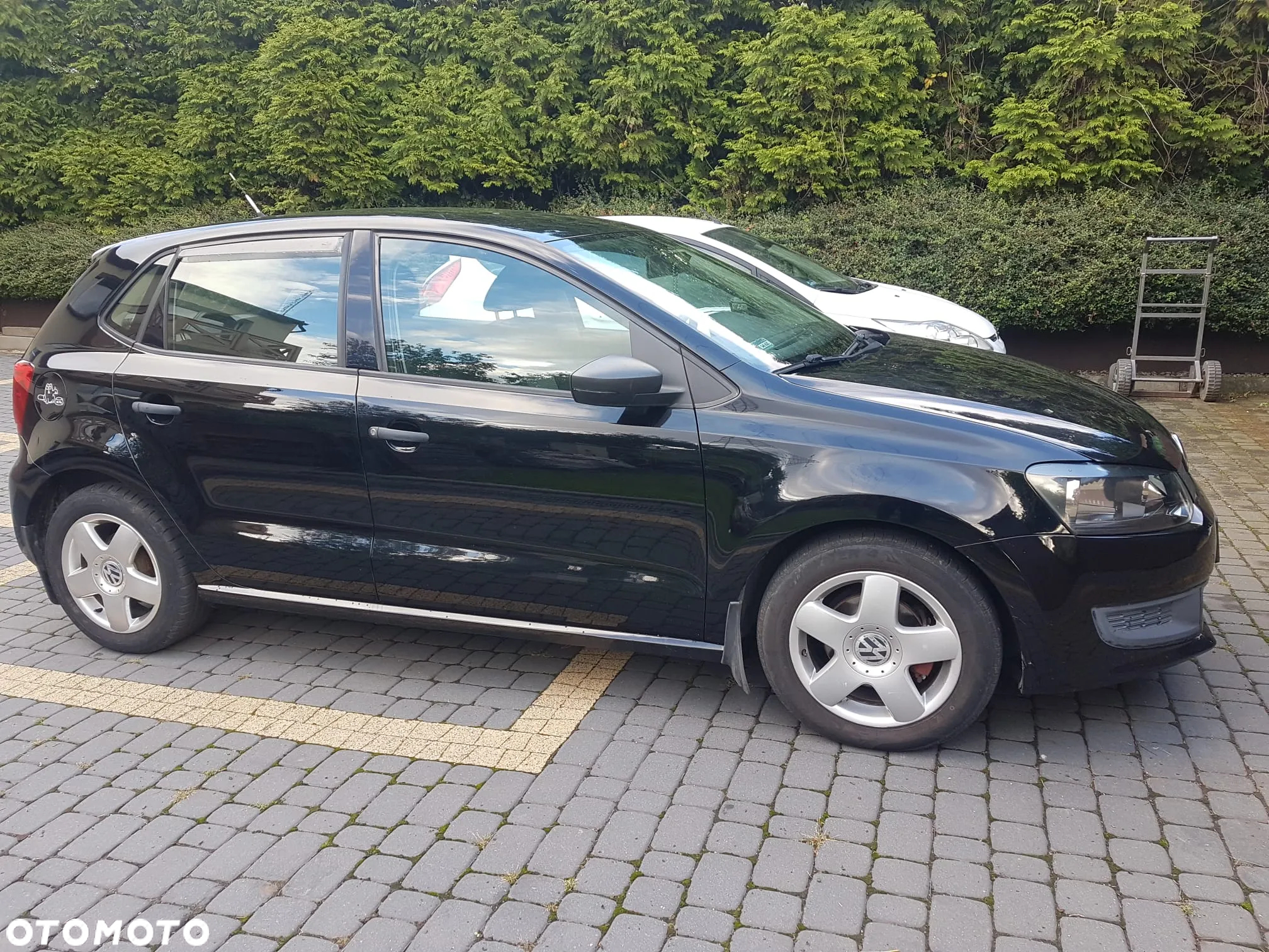 Volkswagen Polo - 4