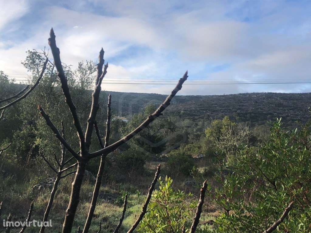Terrenos rustico em malha urbana, Loulé, Algarve - Grande imagem: 5/11