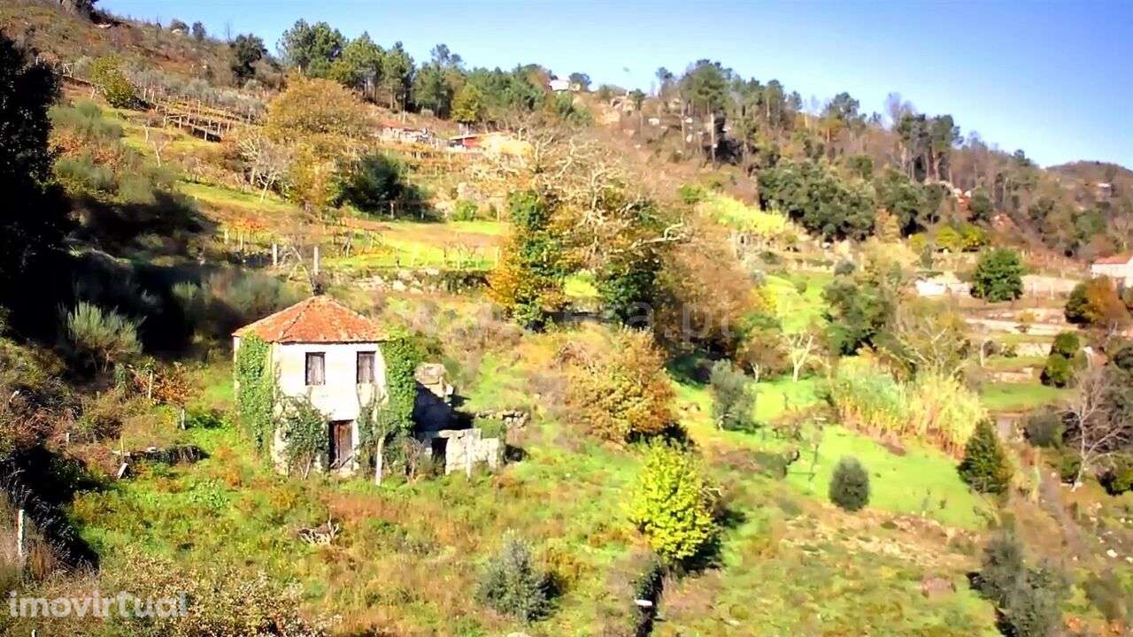 Quintinha / Baião, Loivos da Ribeira e Tresouras - Grande imagem: 3/8
