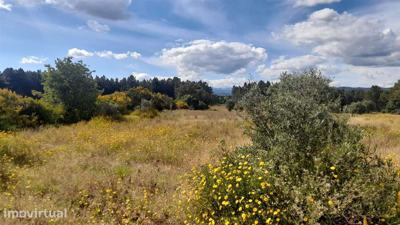 Herdade T0 Venda em Enxames,Fundão - Grande imagem: 5/14