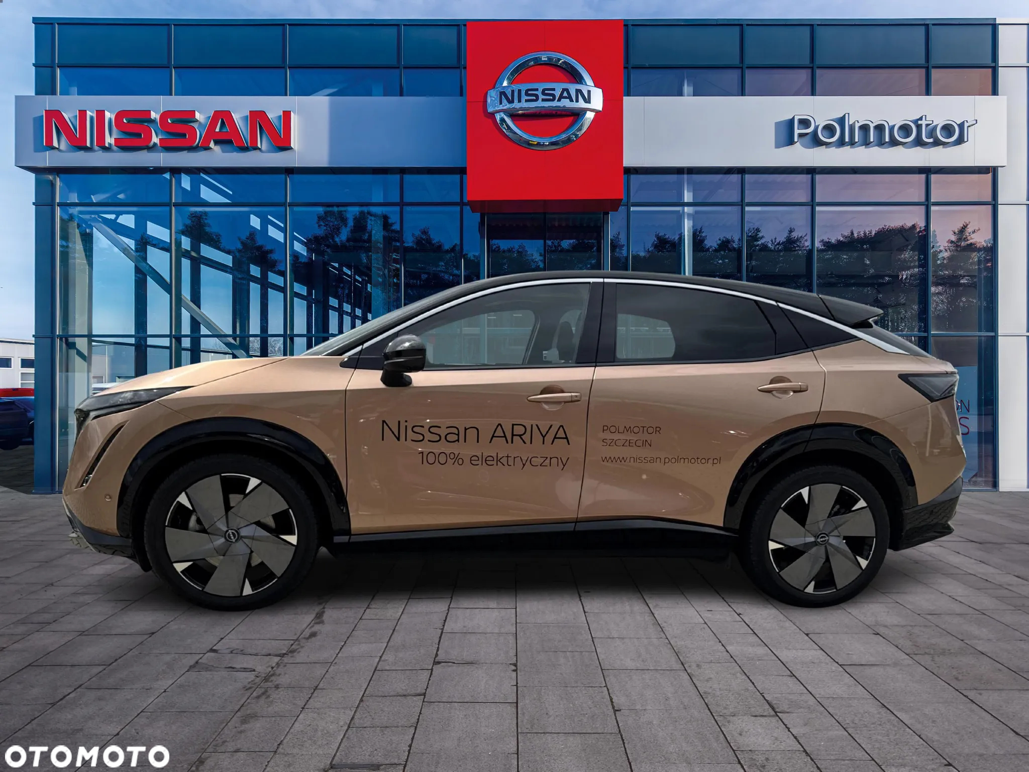 Nissan Ariya - 2
