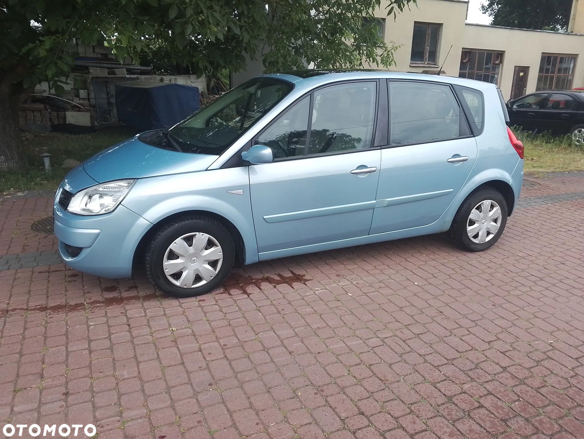 Renault Scenic - 1
