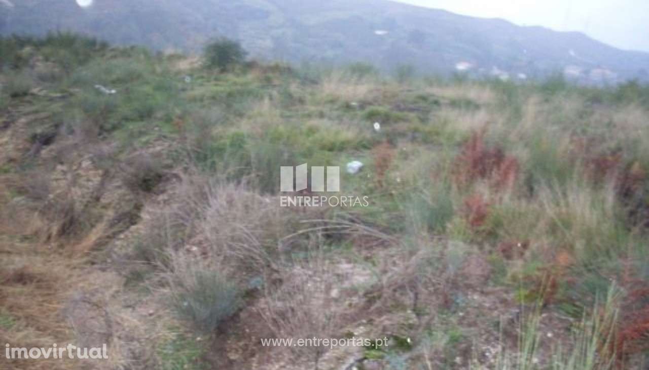 Venda Lote, Grilo, Baião - Grande imagem: 3/29