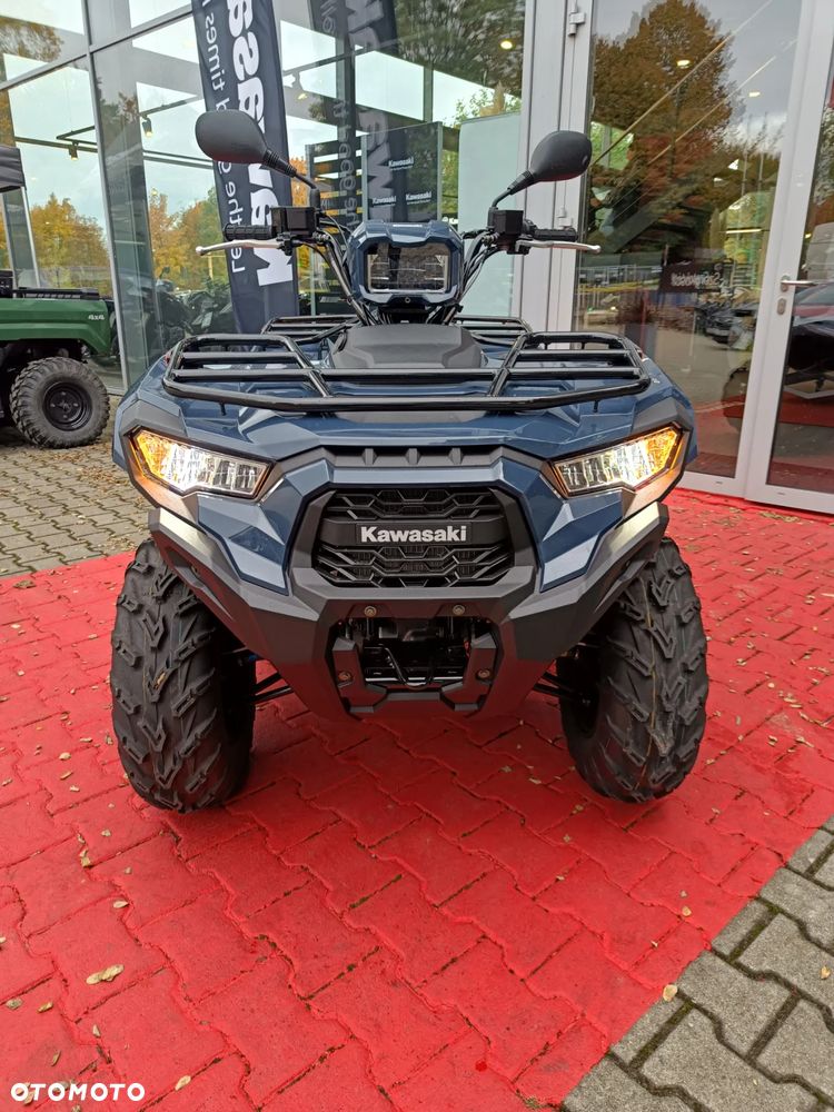 Kawasaki Brute Force - 10