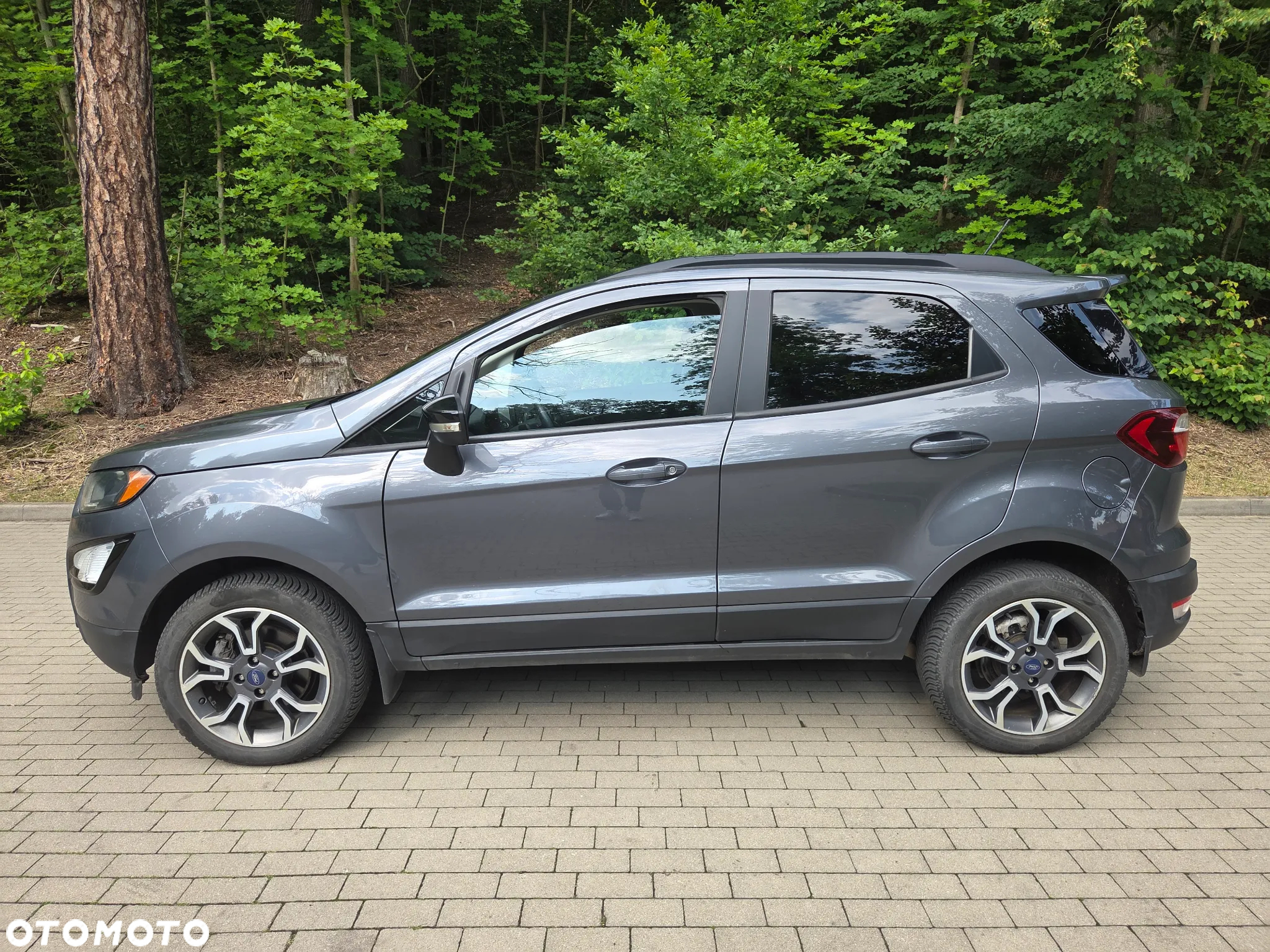 Ford EcoSport - 5