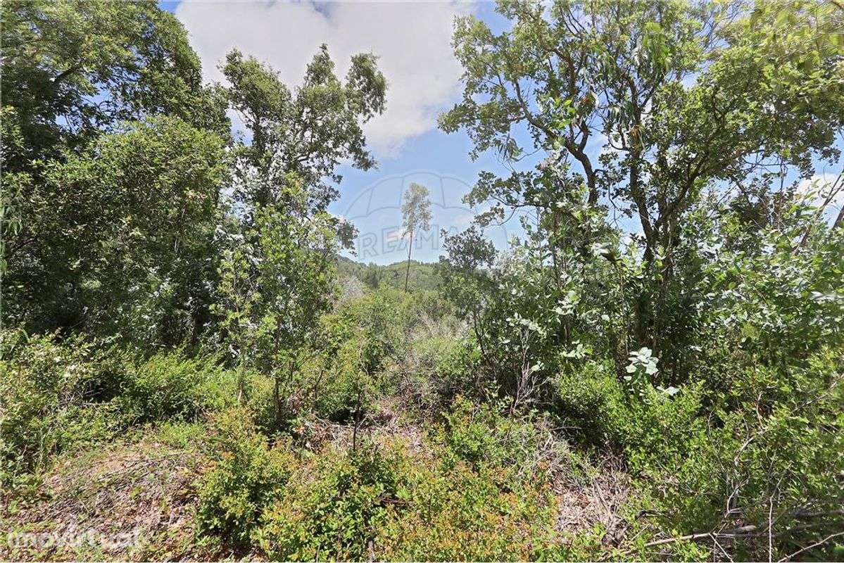 Terreno  para venda - Grande imagem: 3/18