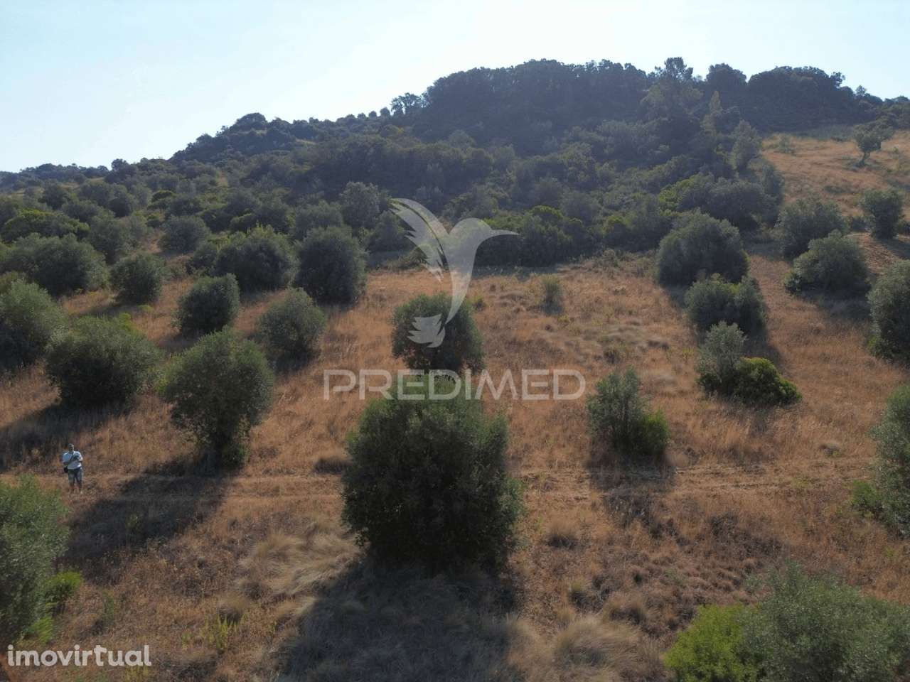 Terreno Rústico com 3.340 m² – Troviscal, Alcanena - Grande imagem: 5/24