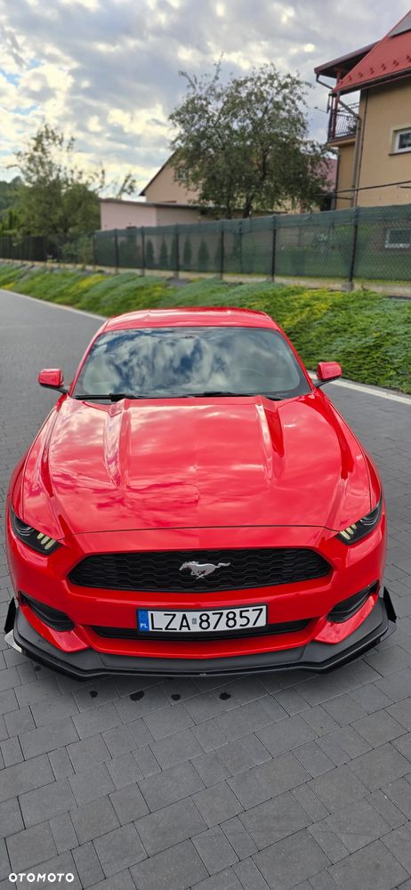 Ford Mustang - 9