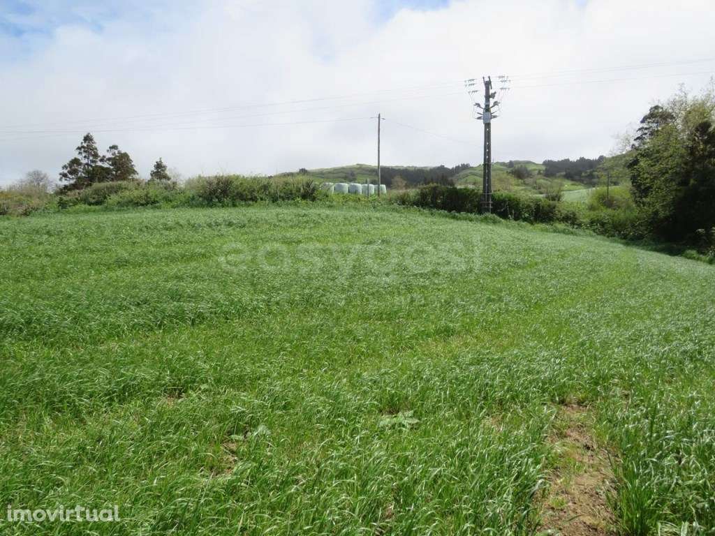 Terreno Urbanizavel na freguesia dos Remédios da Bretanha - Grande imagem: 2/21