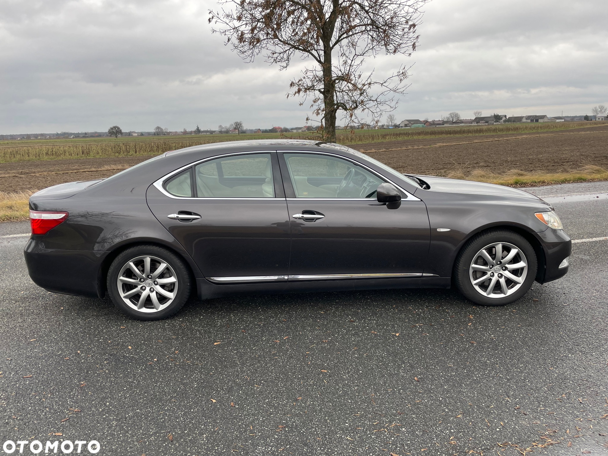Lexus LS 460 Prestige - 7