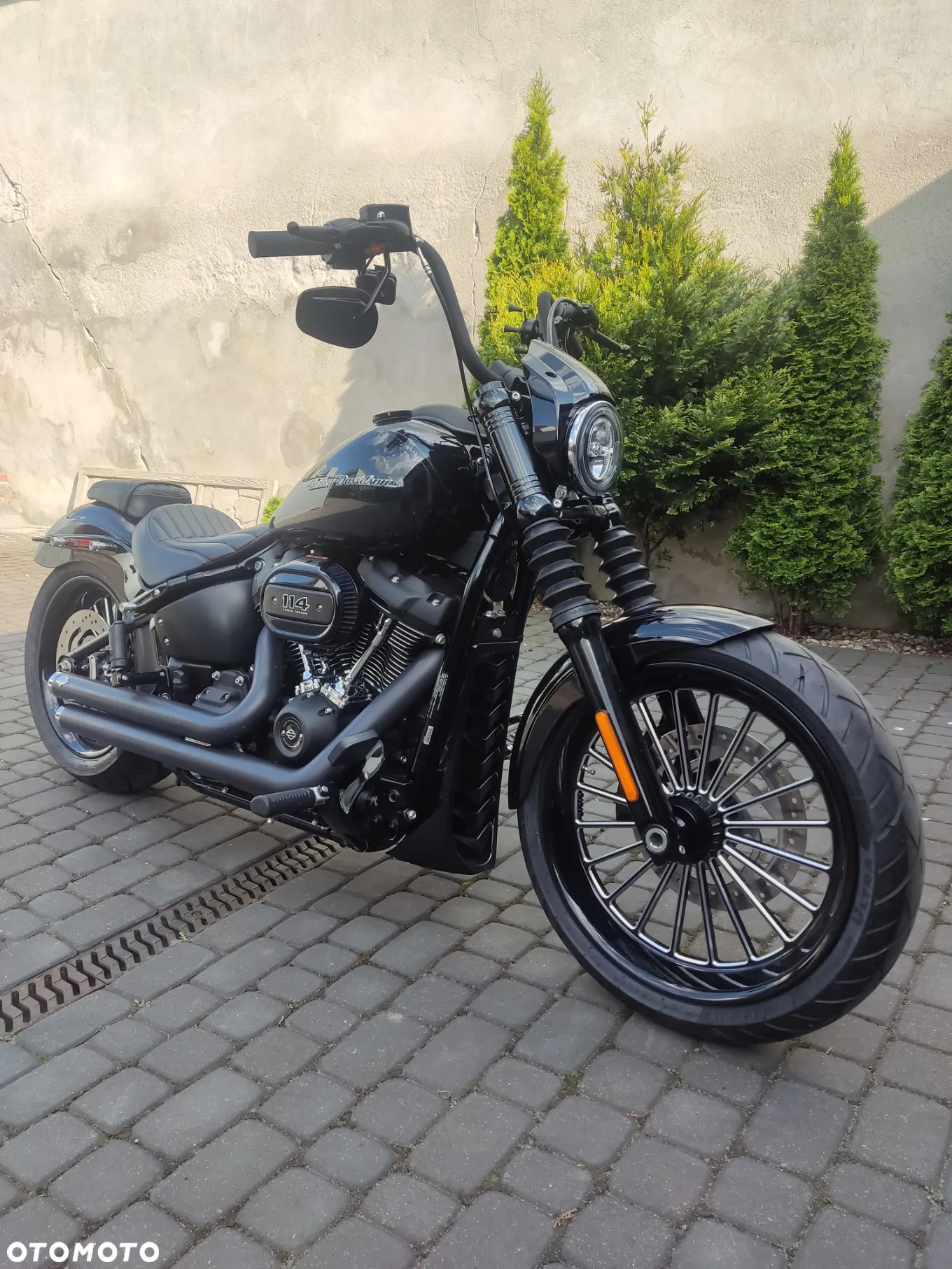 Harley-Davidson Softail Street Bob - 6