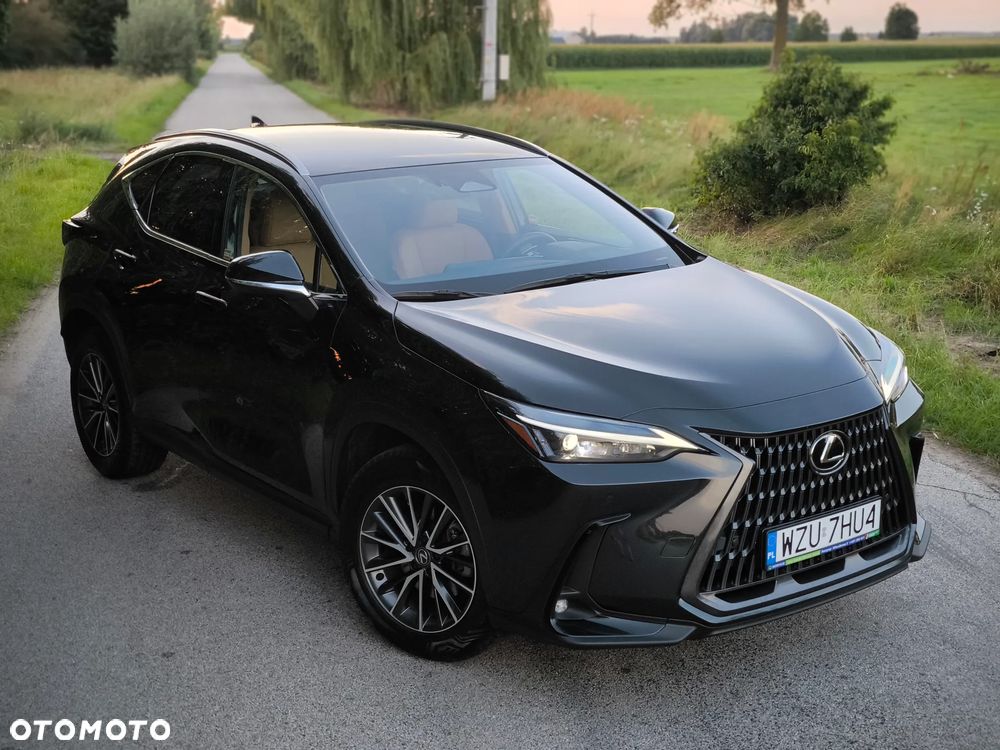 Lexus NX - 9