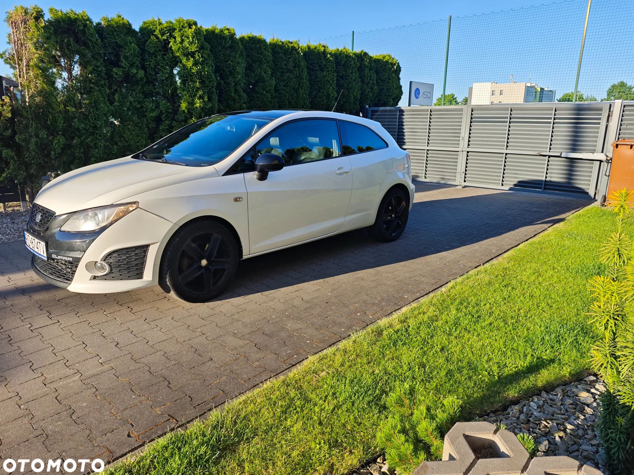 Seat Ibiza SC 1.4 TSI Cupra DSG - 1